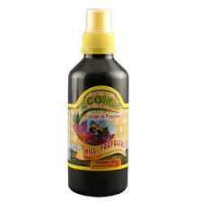 JARABE PROPOLEO 345G ECOMIEL - Imagen principal