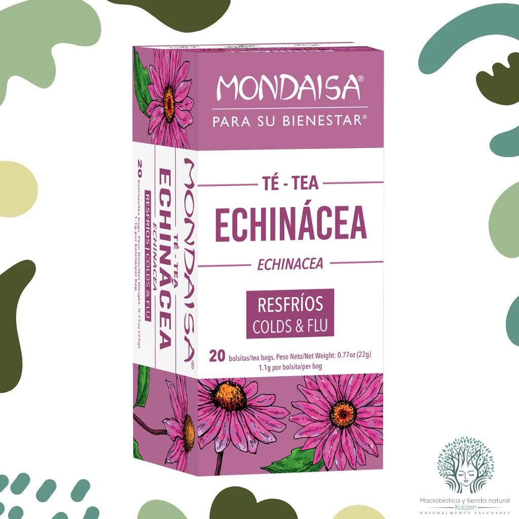 Te Echinacea 20 unidades MONDAISA - Imagen principal
