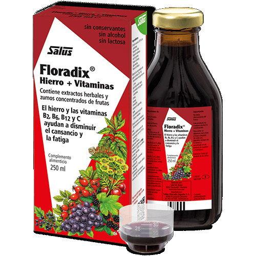 Floradix Hierro Vitaminas 250ml SALUS - Imagen principal
