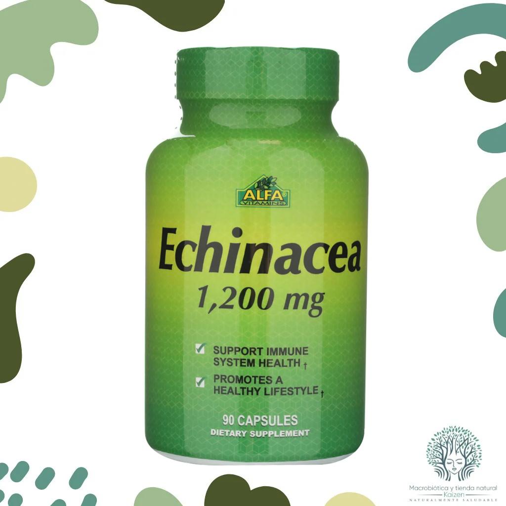 Capsulas Echinacea 90 unidades ALFA VITAMINS - Imagen principal