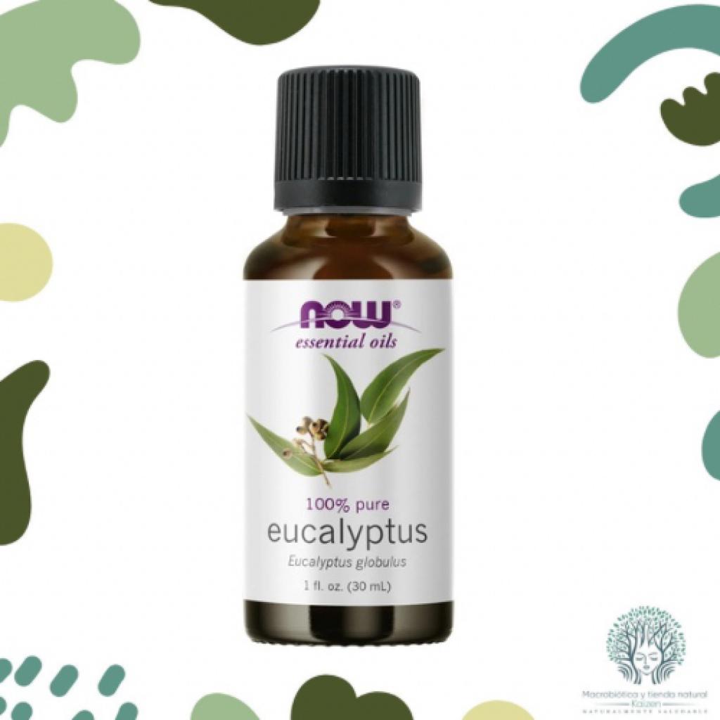Aceite Esencial Eucalipto 30ml NOW - Imagen principal