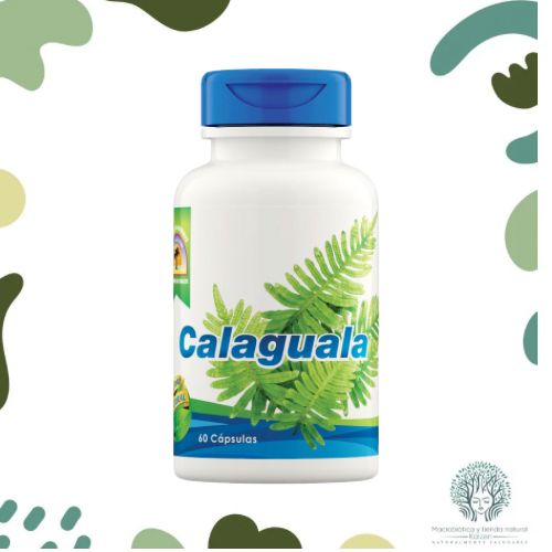 Capsulas Calaguala 60 unidades MANA - Imagen principal