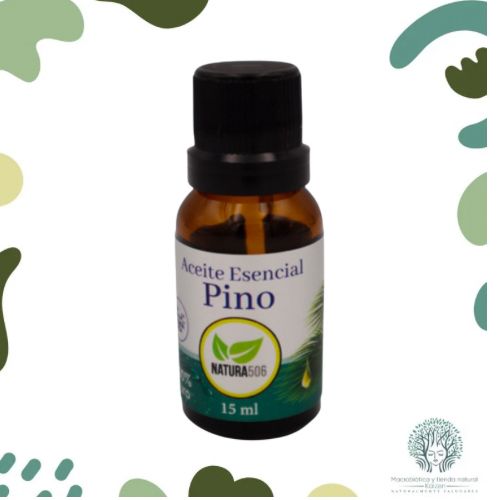 Aceite Esencial Pino 15ml NATURA506 - Imagen principal